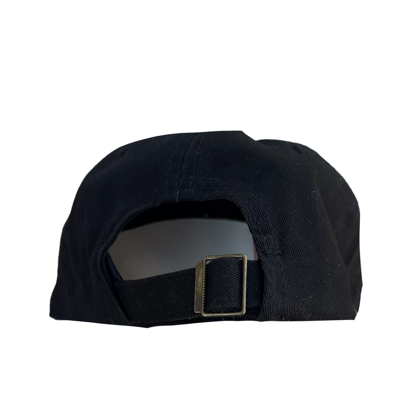 TIENDITA 6 PANEL CURVED VISOR HAT